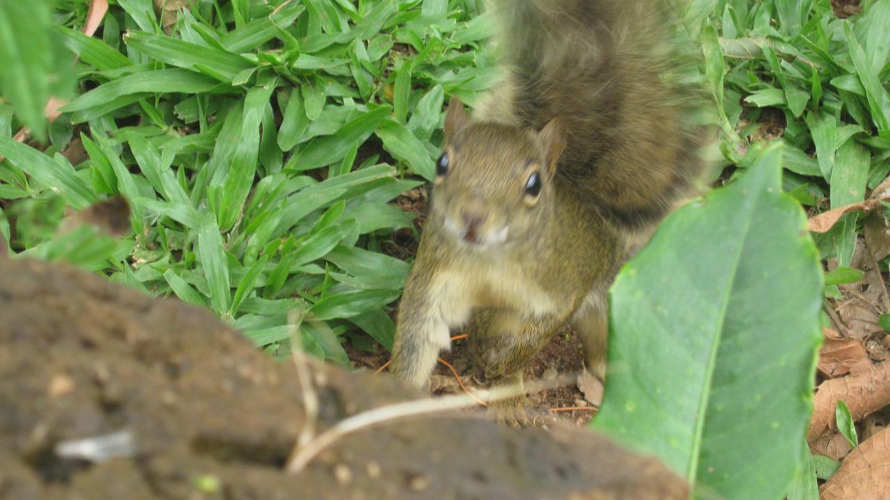 La Reserve Monte Verde (Minas Gerais)