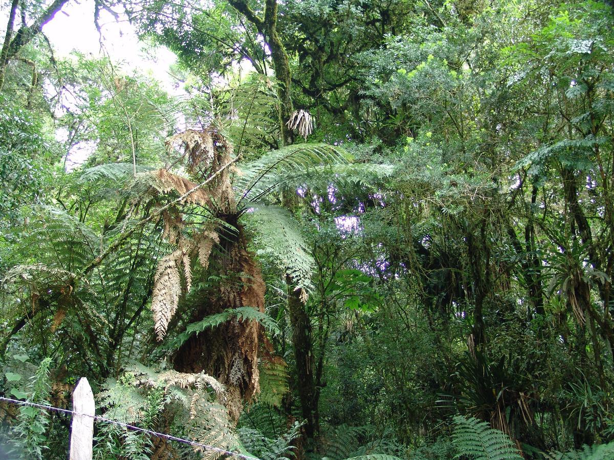 Casa de hóspedes La Reserve Monte Verde (Minas Gerais)