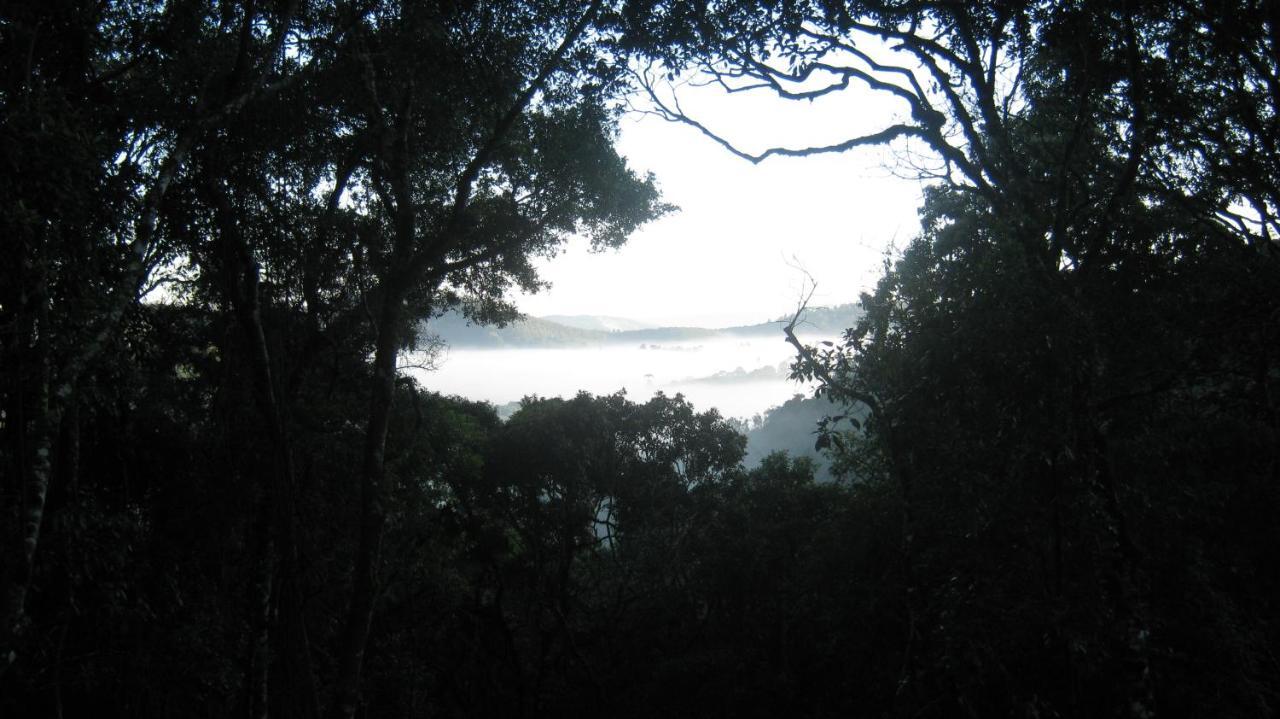 La Reserve